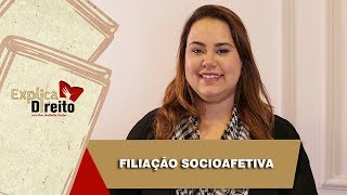 Explica Direito Filiação Socioafetiva  2019 [upl. by Ebocaj]